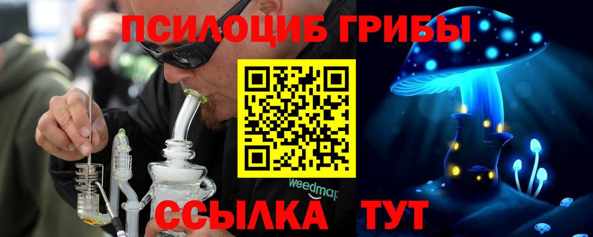 Псилоцибиновые грибы Psilocybe  Вход с VPN  Щёлково  Псилоцибиновые грибы ЛСД 